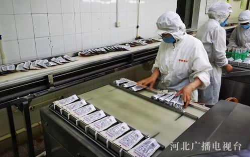 秦皇島 搶訂單拓市場食品企業生產忙