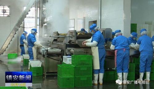 我縣年產2500噸板栗休閑食品生產線投產運營